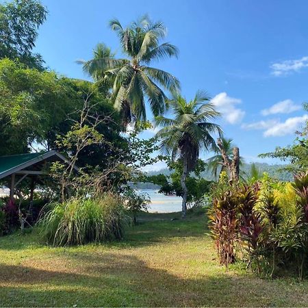 Port Barton - Paradiso Azul Campsite Beachfront With Internet Сан-Вісент Екстер'єр фото