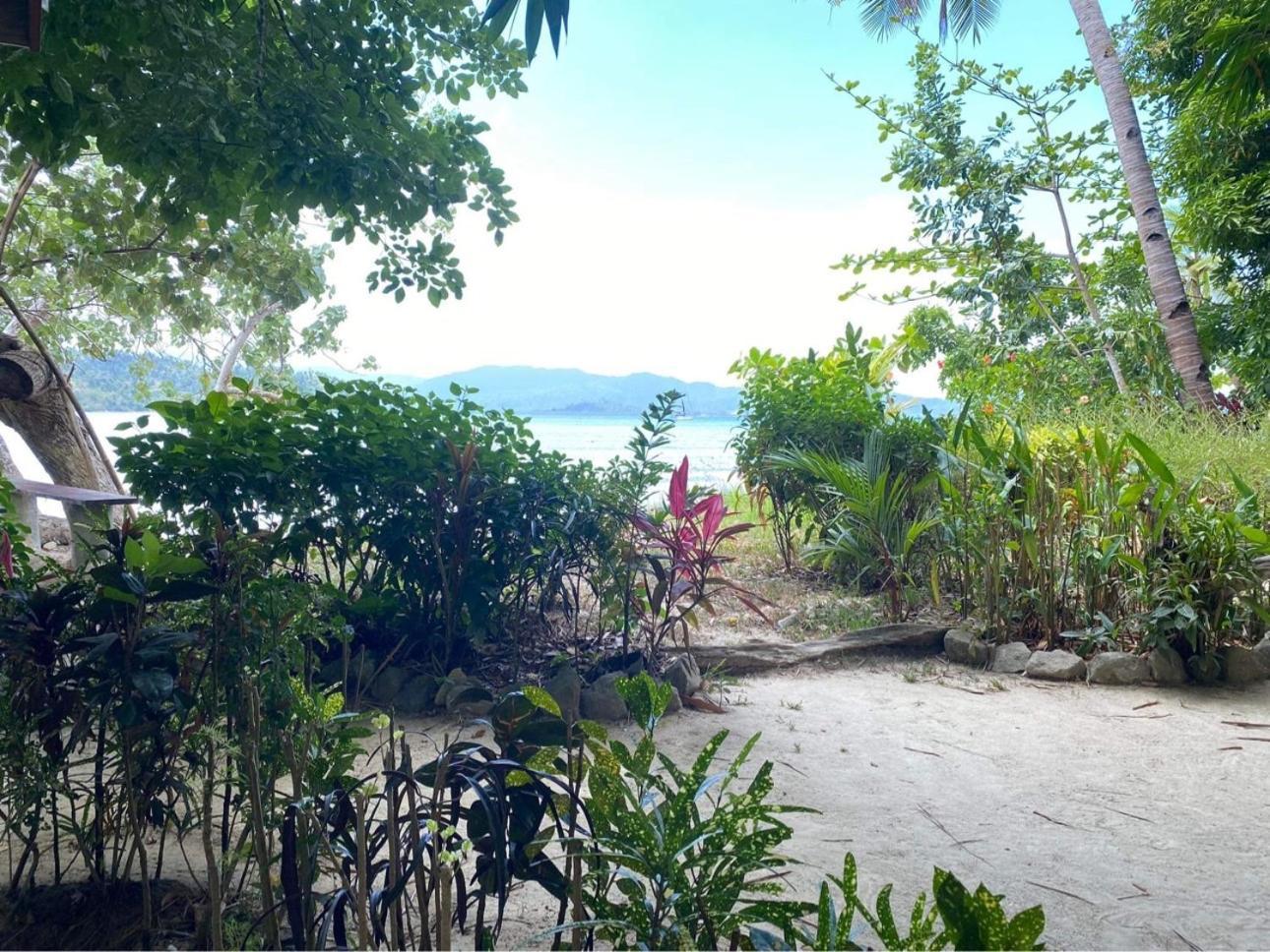 Port Barton - Paradiso Azul Campsite Beachfront With Internet Сан-Вісент Екстер'єр фото