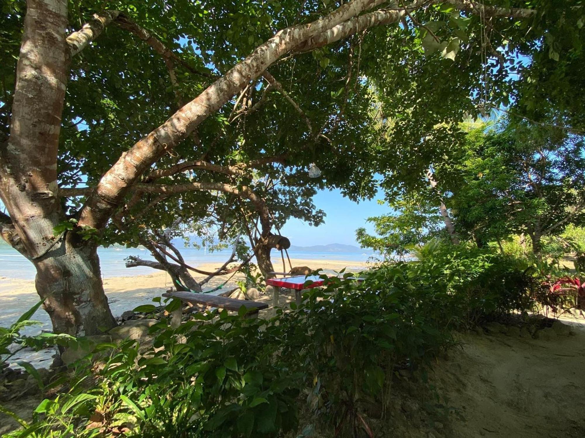 Port Barton - Paradiso Azul Campsite Beachfront With Internet Сан-Вісент Екстер'єр фото