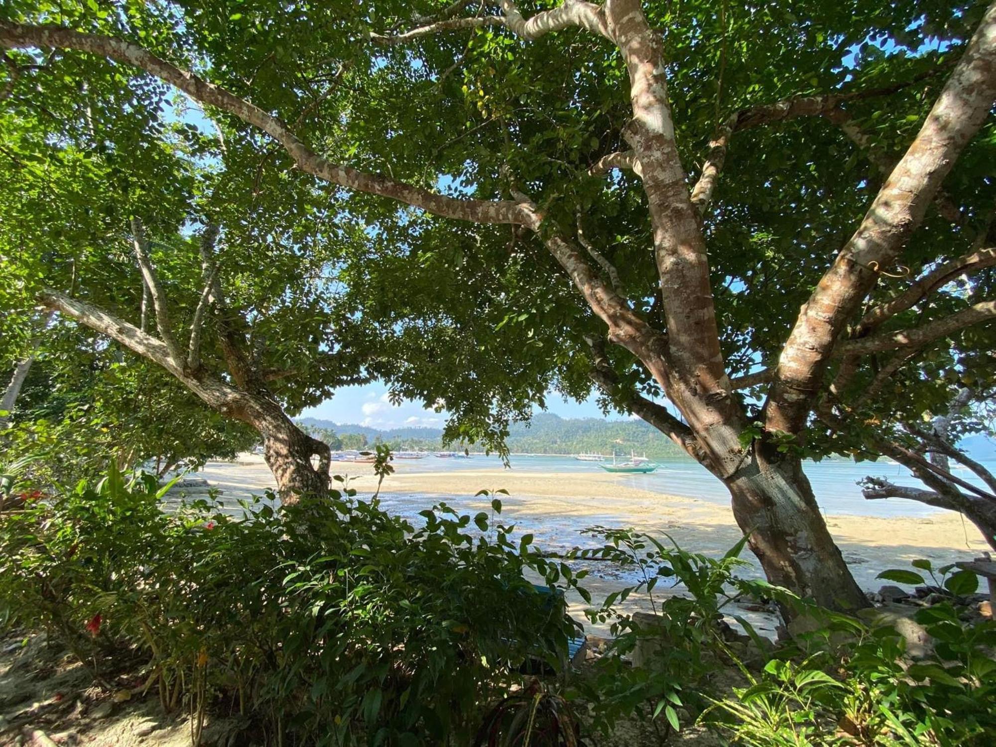 Port Barton - Paradiso Azul Campsite Beachfront With Internet Сан-Вісент Екстер'єр фото